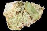 Lustrous, Yellow Apatite Crystal on Feldspar - Morocco #84317-2